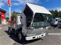 2020 Isuzu Elf Truck