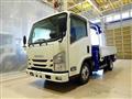 2019 Isuzu Elf Truck