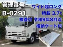 2017 Isuzu Elf Truck