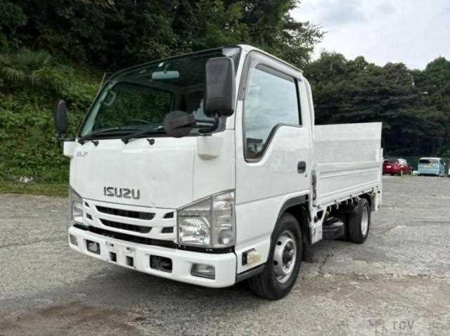 2016 Isuzu Elf Truck