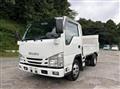 2020 Isuzu Elf Truck