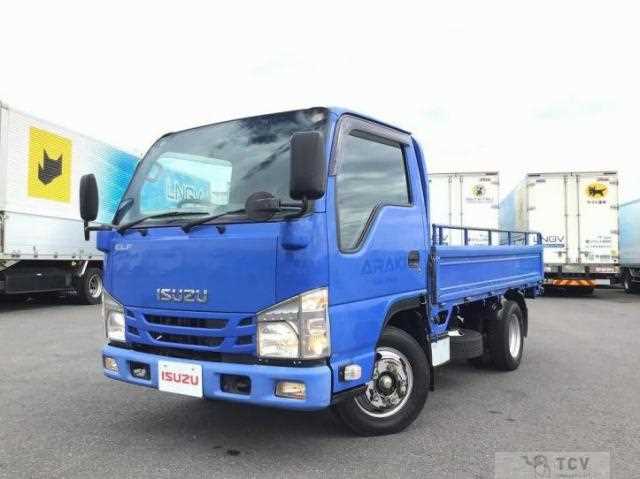 2017 Isuzu Elf Truck