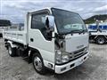 2017 Isuzu Elf Truck