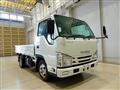 2017 Isuzu Elf Truck