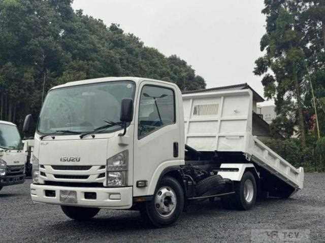 2017 Isuzu Elf Truck