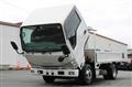 2015 Isuzu Elf Truck