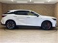 2025 Lexus RX