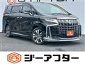 2019 Toyota Alphard G