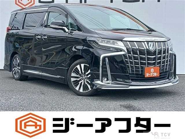 2019 Toyota Alphard G