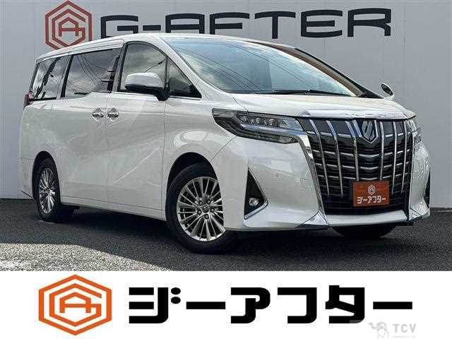 2019 Toyota Alphard G
