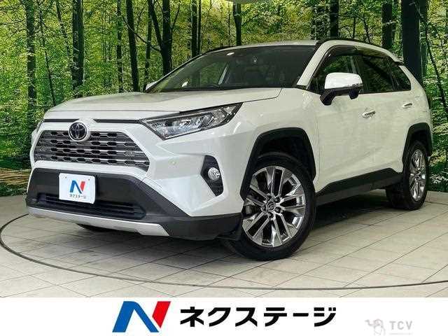 2020 Toyota RAV4