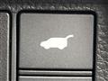 2025 Honda Step WGN