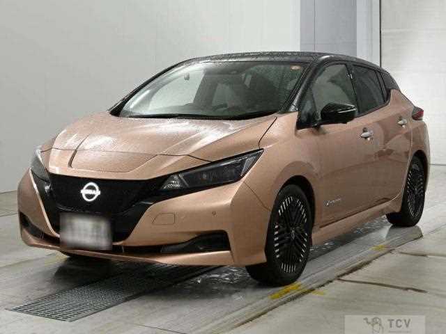 2022 Nissan Leaf