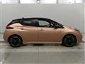 2022 Nissan Leaf