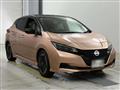 2022 Nissan Leaf