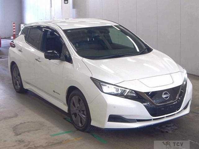 2021 Nissan Leaf