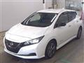 2021 Nissan Leaf