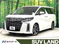 2019 Toyota Alphard G
