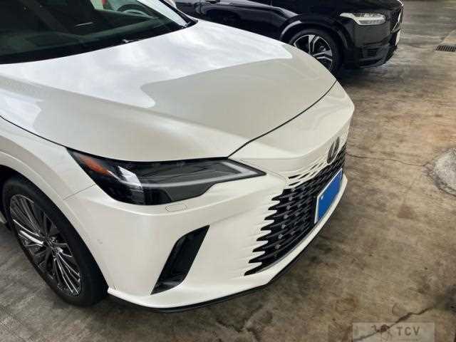 2023 Lexus RX