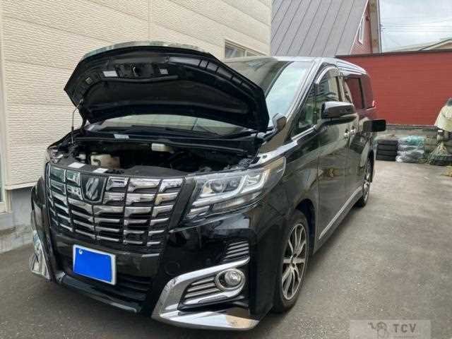 2017 Toyota Alphard G