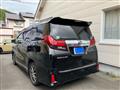 2017 Toyota Alphard G