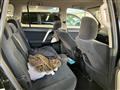 2019 Toyota Land Cruiser Prado