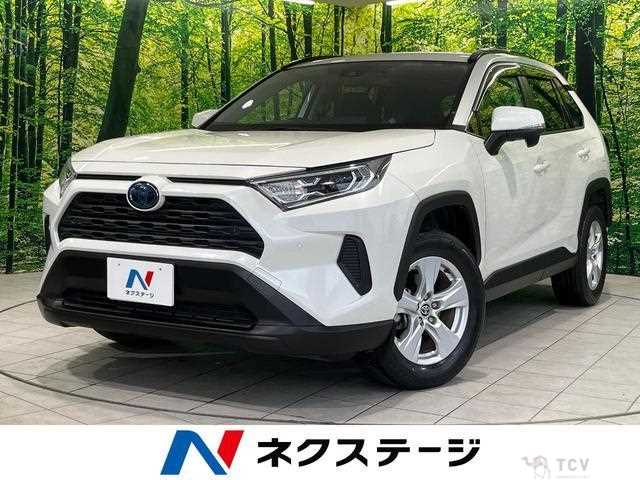 2020 Toyota RAV4