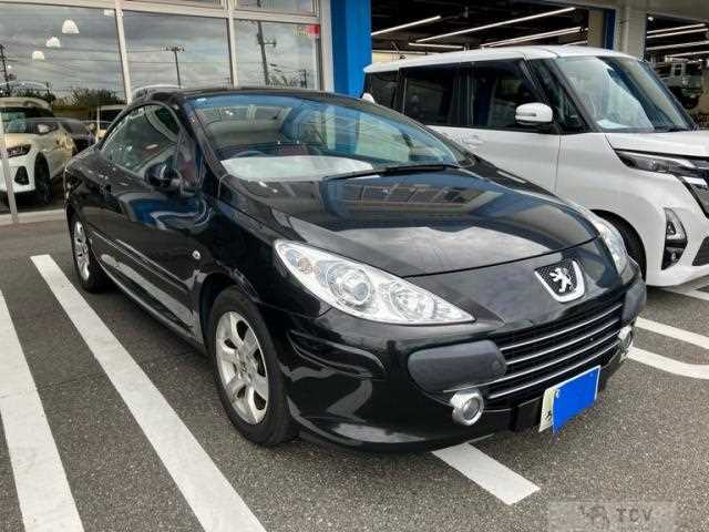 2006 Peugeot 307