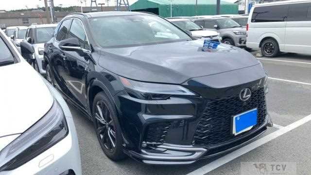 2024 Lexus RX