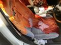1999 Nissan Bluebird