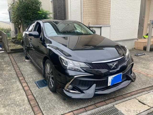 2019 Toyota Mark X