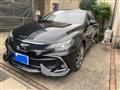 2019 Toyota Mark X