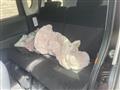 2011 Daihatsu Tanto