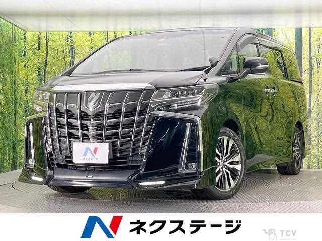 2019 Toyota Alphard G