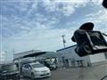 2009 Honda Freed
