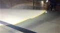 2004 Toyota Alphard G