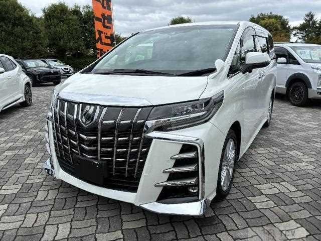 2019 Toyota Alphard G