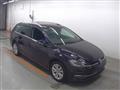 2018 Volkswagen Golf Variant