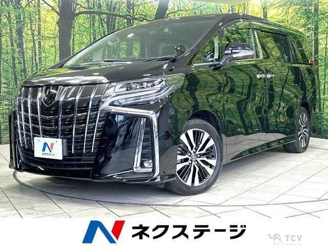 2019 Toyota Alphard G