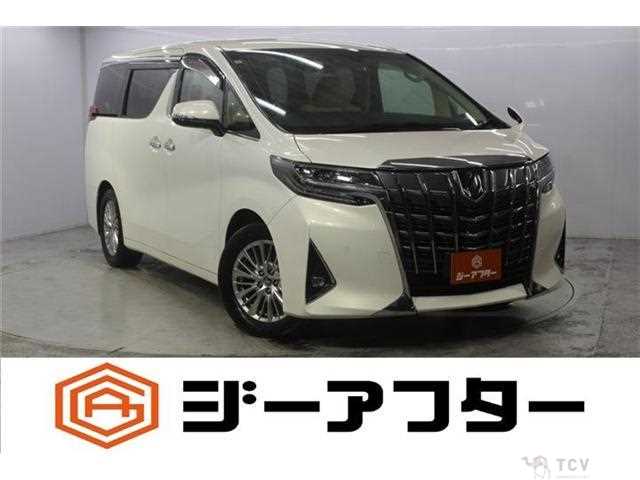 2019 Toyota Alphard G