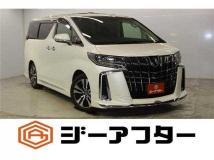 2020 Toyota Alphard G
