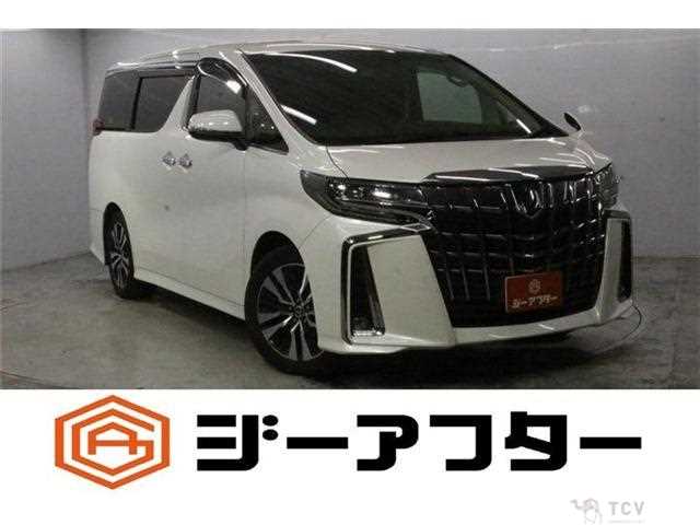 2019 Toyota Alphard G