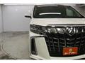 2019 Toyota Alphard G