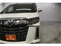 2019 Toyota Alphard G