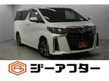 2019 Toyota Alphard G