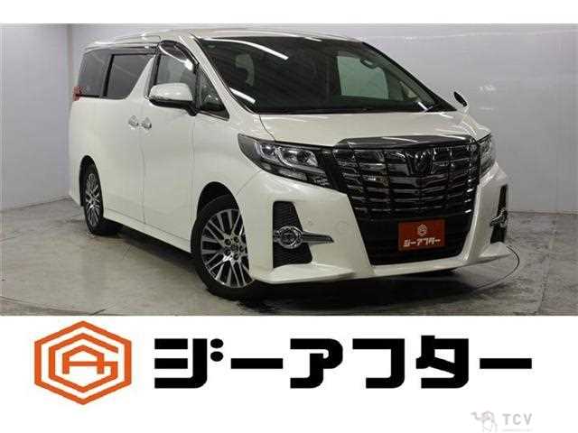 2016 Toyota Alphard G