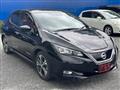 2018 Nissan Leaf