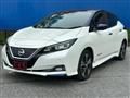 2017 Nissan Leaf