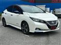 2017 Nissan Leaf