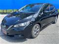 2022 Nissan Leaf